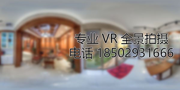 叉河镇VR全景技术在未来可能的发展方向和应用领域?